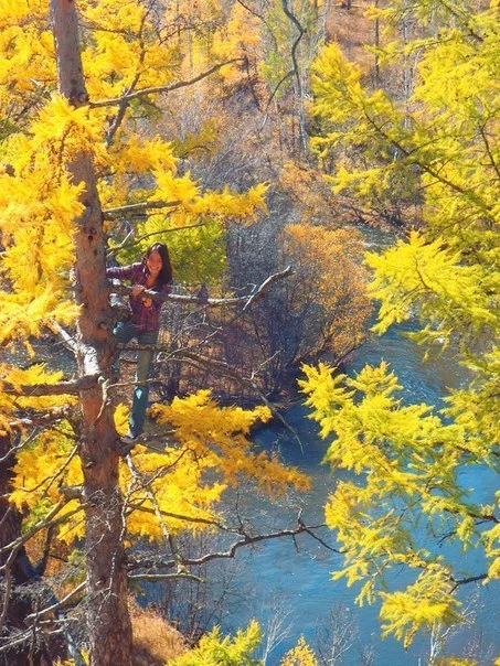 Забайкальская осень. Кручина - Моё, Забайкалье, Осень, Обрыв