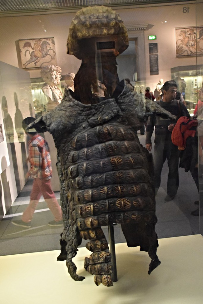 Armor - Armor, Armor, Crocodiles, Egypt, Museum, Longpost