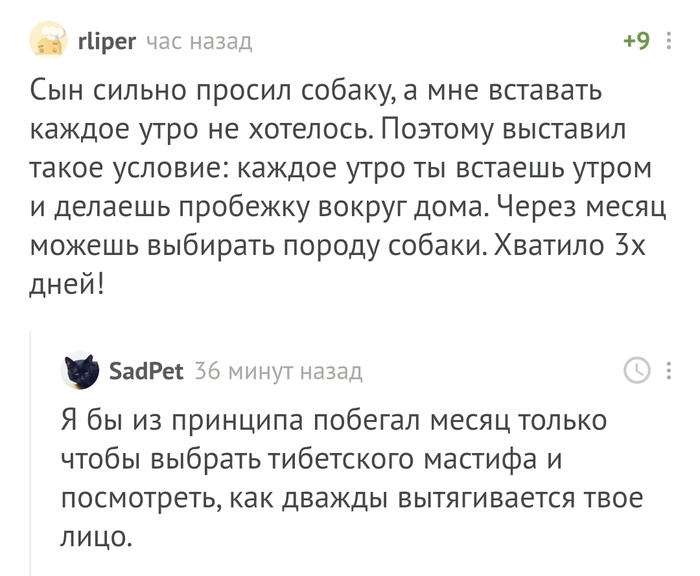 Когда потроллить папу хочешь даже больше, чем собаку