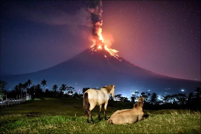 Vulcan and horses - Philippines, Volcano, Horses, From the network, Mayon Volcano