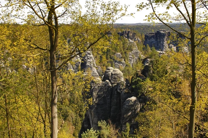 Sand cliffs of Bastei, Germany - My, The rocks, Bastei, The photo, Travels, Landscape, Germany, Longpost