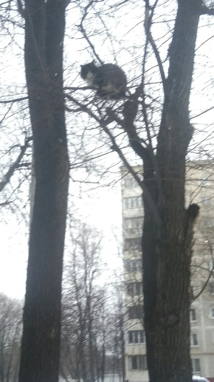 �� ��� �� ���!!!