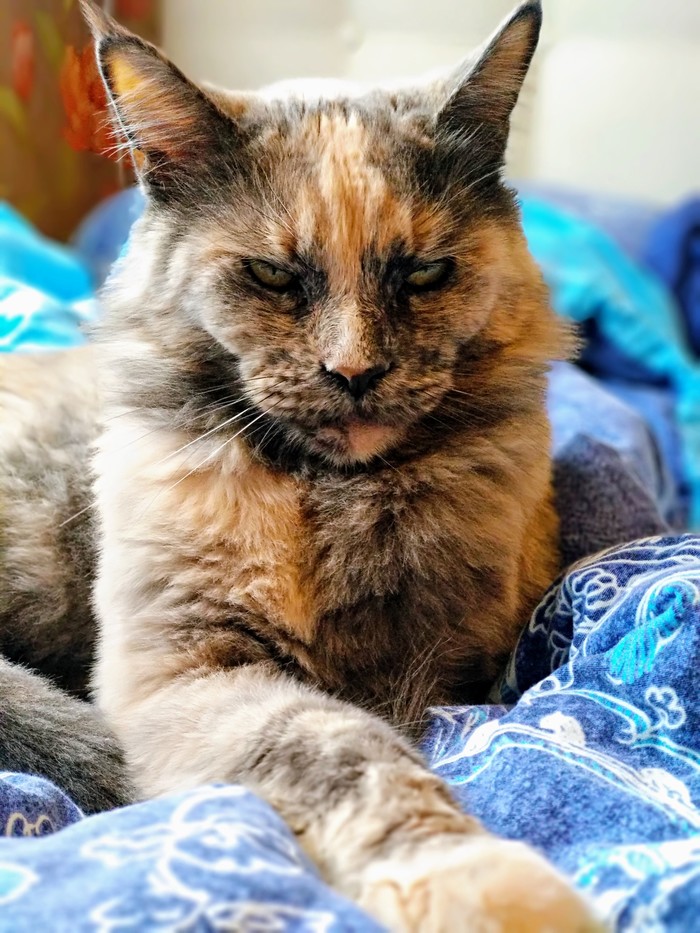 Больше уважения этому господину