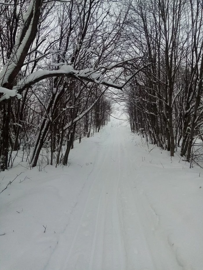 Decided to go skiing - My, Winter, Entertainment, Skis, Longpost