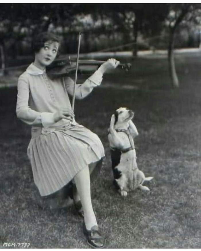 Plays well. Maybe - Humor, Musicians, Violin, Twenties, 1920s