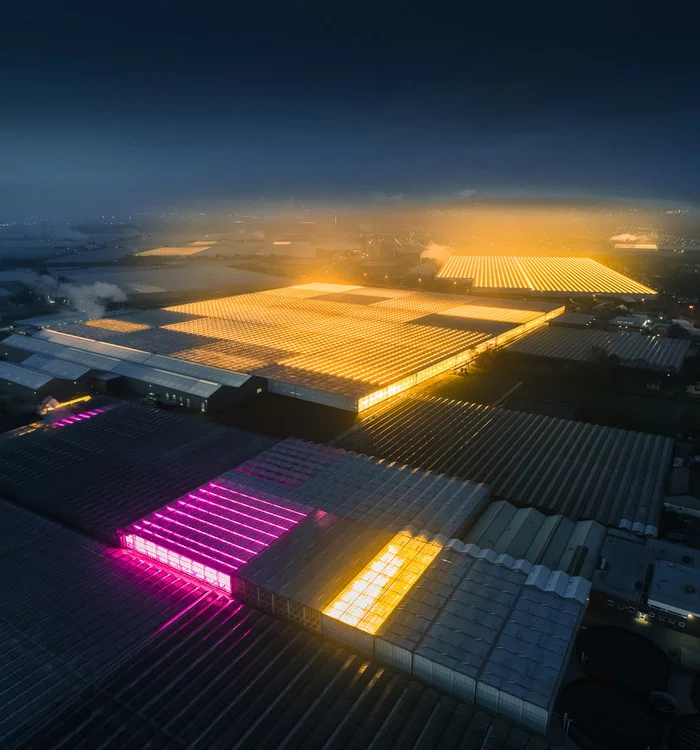 Greenhouses in the Netherlands - Netherlands (Holland), Сельское хозяйство, Greenhouse, The photo, Longpost