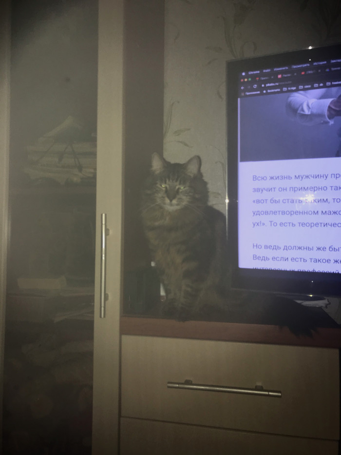 � ���� ������� �����