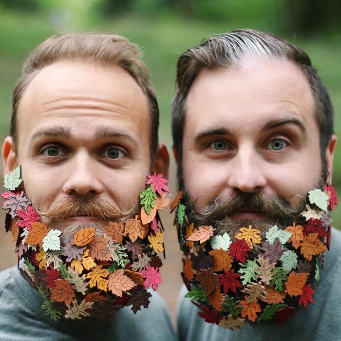 The Gay Beards     , , 