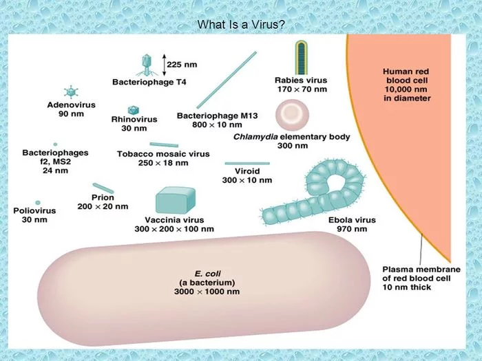 About bacteria and viruses or drink clean water - My, Water filter, Longpost, Coronavirus, Water purification, Reverse osmosis