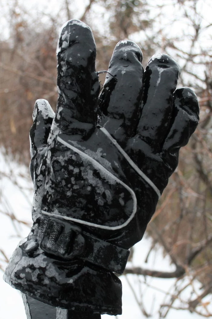 Freezing rain - My, Canada, Winter, Rain, Freezing rain, Ice, Tree, Canon 400D, Longpost