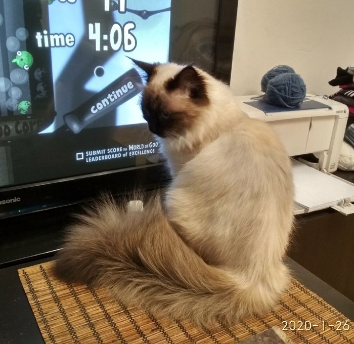 ������, ����... ������� - �����!