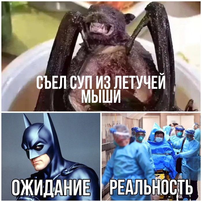        ,   , , , , , ,  