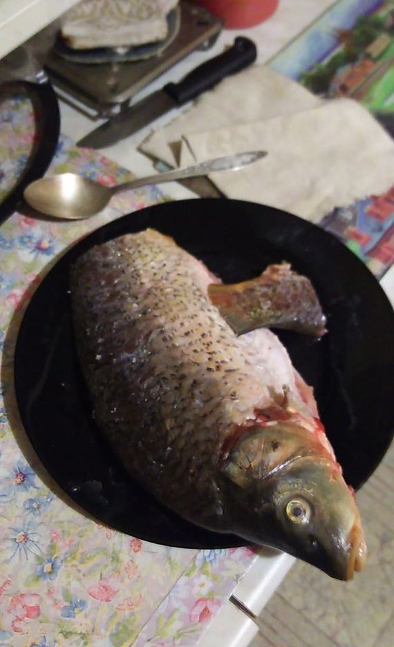 Recipe KarasYBistro - 10 minutes - My, Carp, Carp, Kitchen, Cooking, A fish