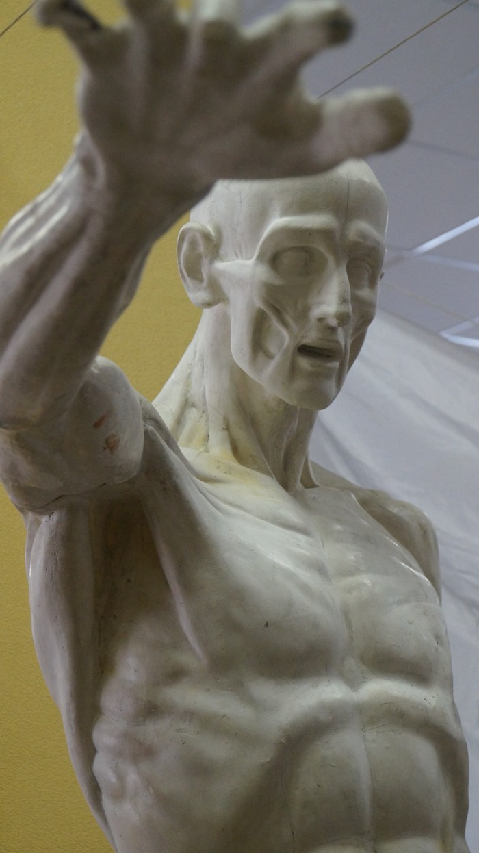 Перед тем как рисовать, решил пофотографировать Фотография, Длиннопост, Скульптура, Красота, Зевс (бог), Давид