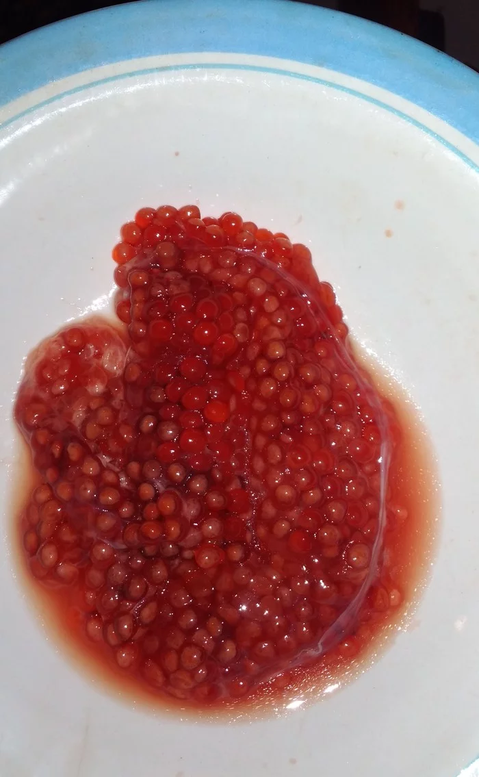 Red caviar - My, Red caviar, Pink salmon, Unexpected, Food