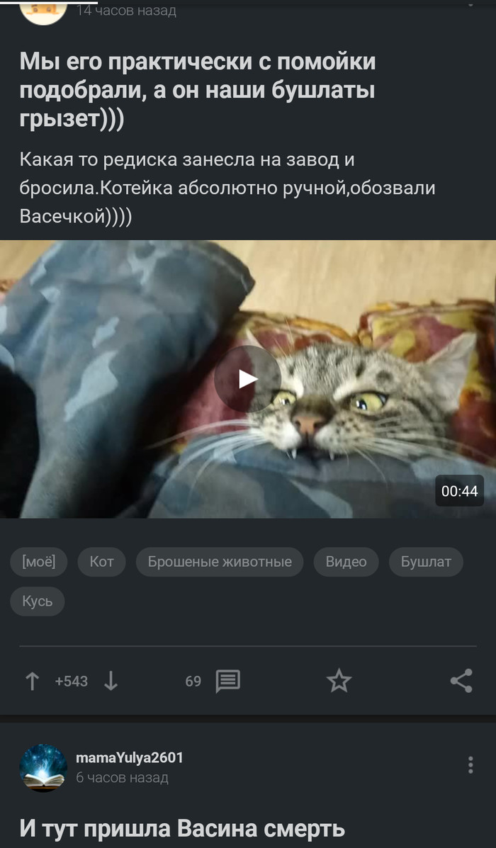 ������ ����...