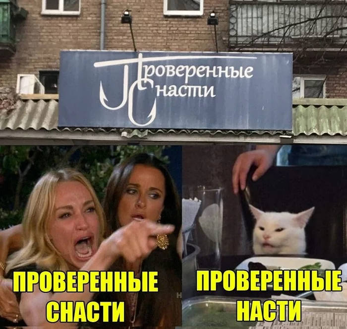 Шрифт - Кот, Шрифт, Девушки, Вывеска, Надпись, Две женщины орут на кота