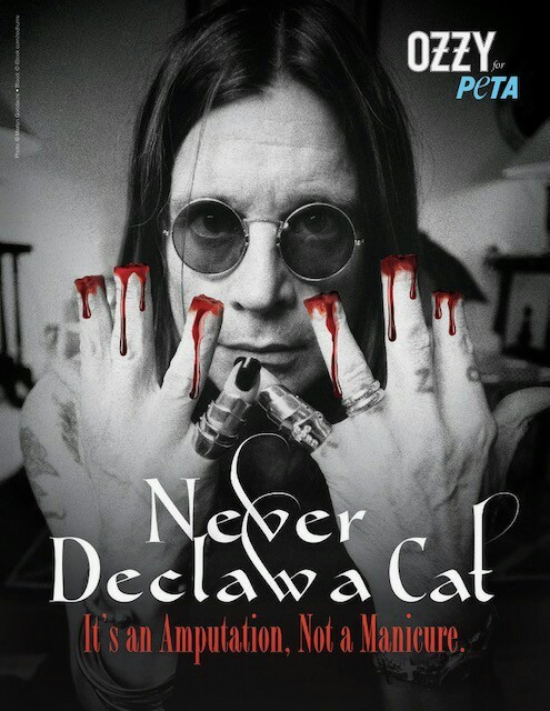 Ozzy Osbourne speaks out in defense of cats - Ozzy Osbourne, Animal protection, Peta, Video