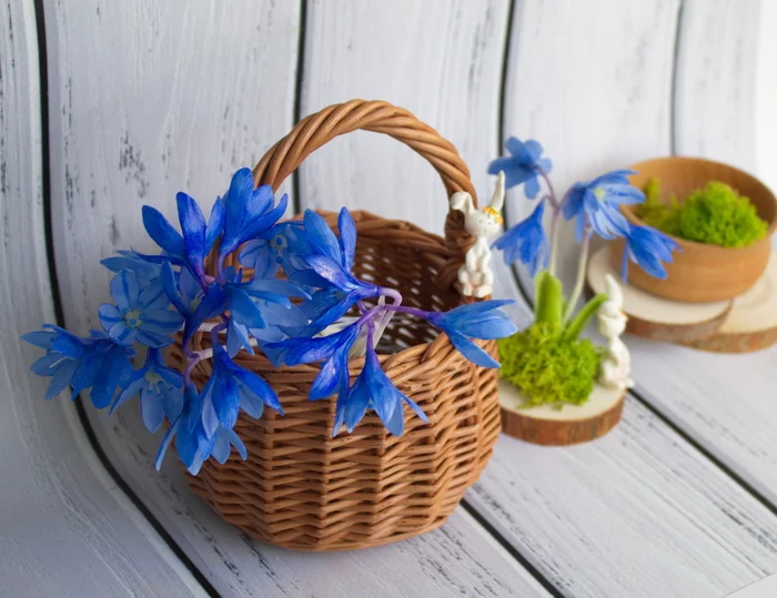 Collecting blueberries - My, Proleski, Snowdrops flowers, Primroses, Polymer clay, Лепка, Longpost