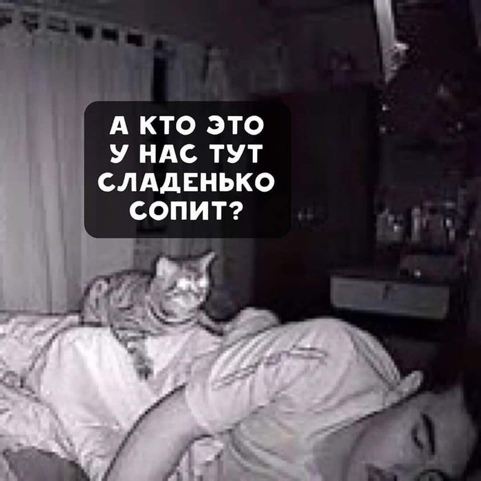    , ,   ,  , 