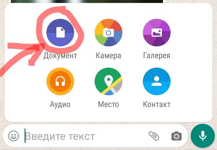 Как в WhatsApp делиться фото без сжатия. Лайфхак