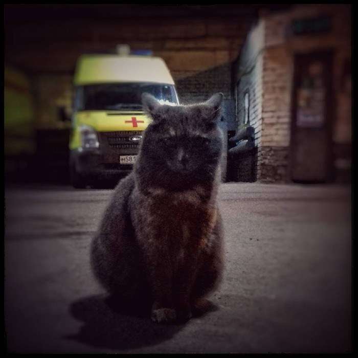 ������ ������� � 3 ���� ������, ������ ����� � ���� �������� ������ �����?