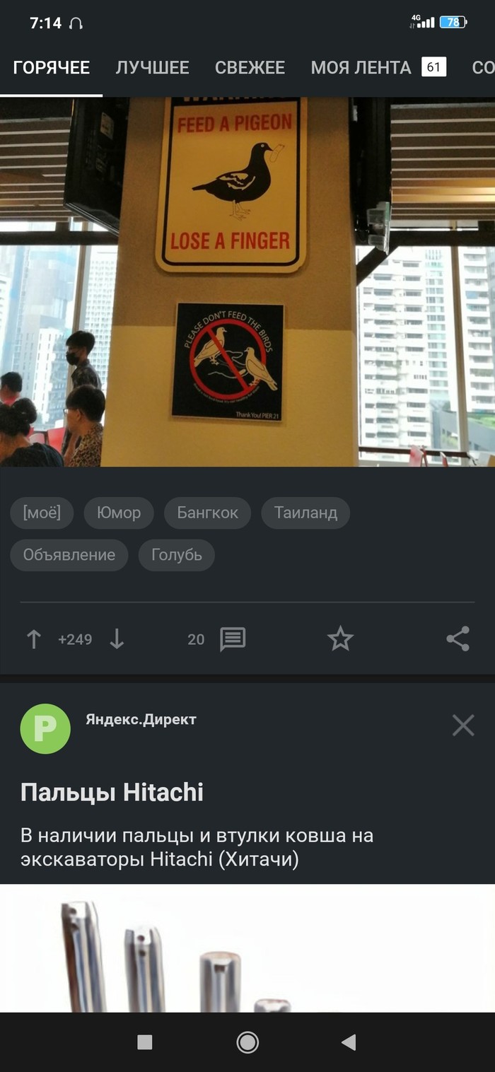 ..    , ,   , 