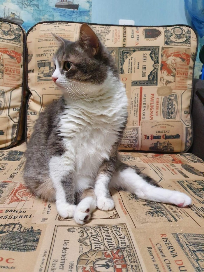 ������� �����