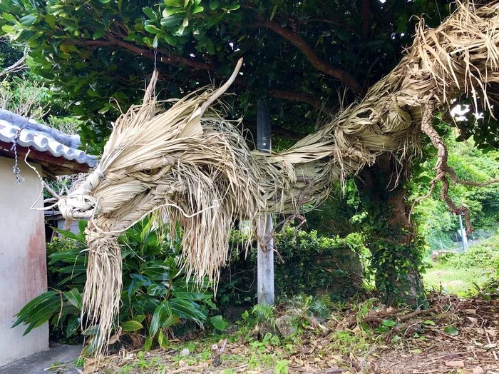 Dragon made of wood and palm leaves - The Dragon, Palm trees, Leaves, Handmade, From the network