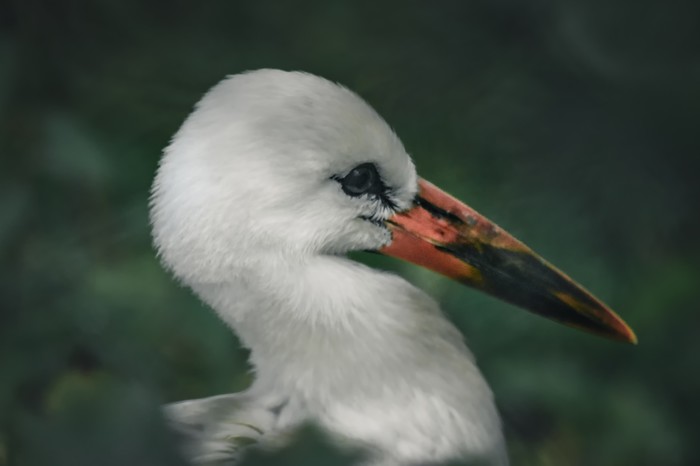 ���� �� �����