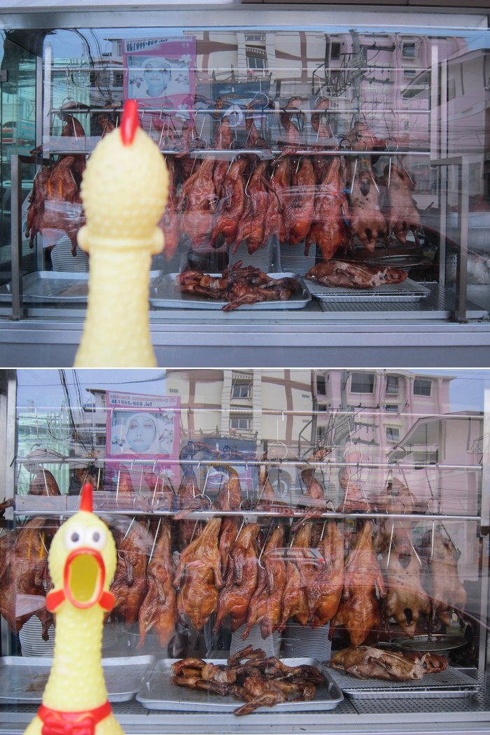 Апофеоз пищевой цепи