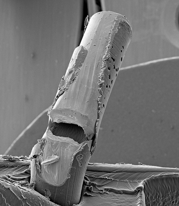 Сломанная игла шприца в электронном микроскопе