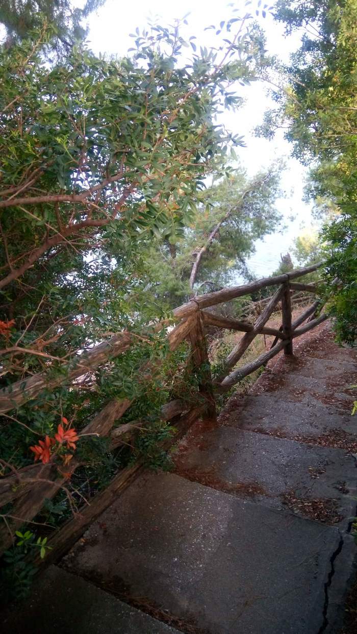 Спуск к морю