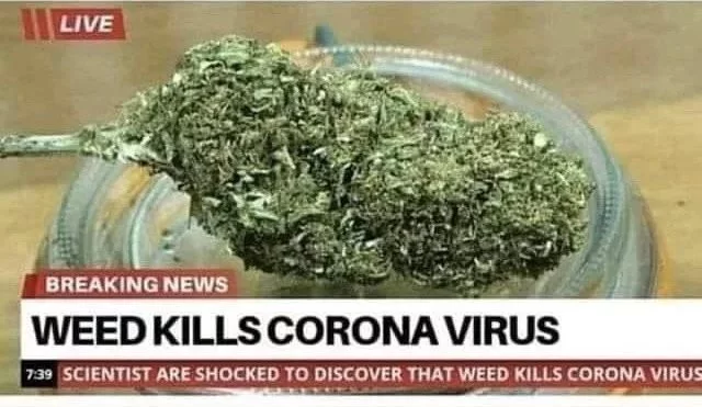 Weed kills coronavirus - Coronavirus, Grass, 9GAG