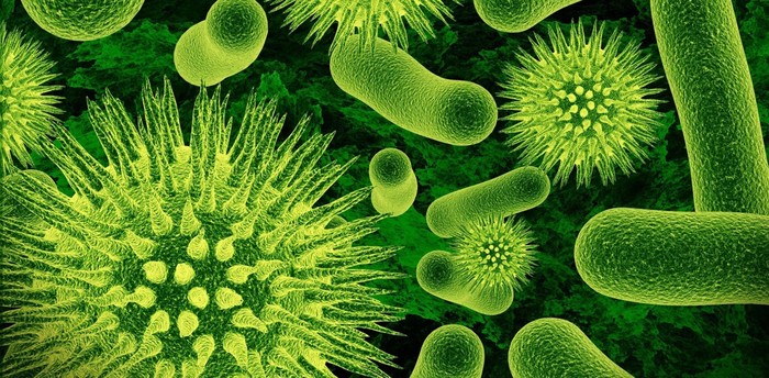 ����� �������� �� �������� �������� �� ��������� ����������� ������, � ������� ��� �������