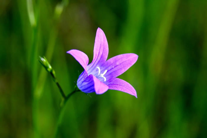 Я не из тех..