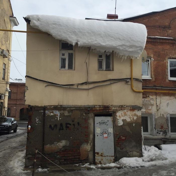 Ну здравствуй, мой упоротый друг!