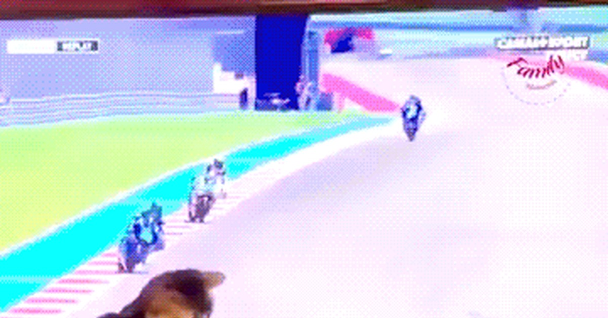 Coincidence? Don't think - cat, Moto, Pets, The fall, Race, Fail, GIF