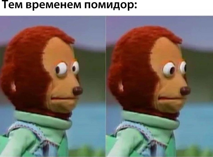 Ананас не должен быть в пицце потому что это фкрукт!