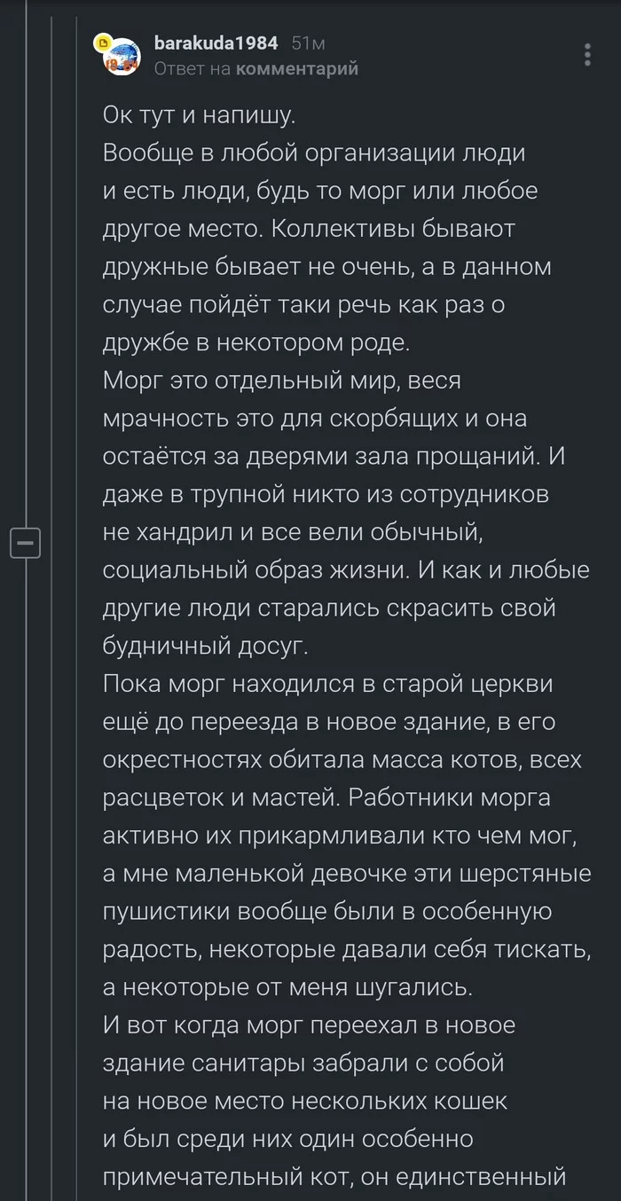 Про котов и морг Морг, Кот, Комментарии на Пикабу, Скриншот, Длиннопост