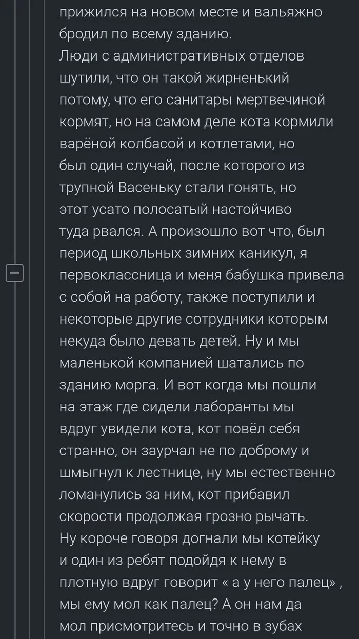 Про котов и морг Морг, Кот, Комментарии на Пикабу, Скриншот, Длиннопост