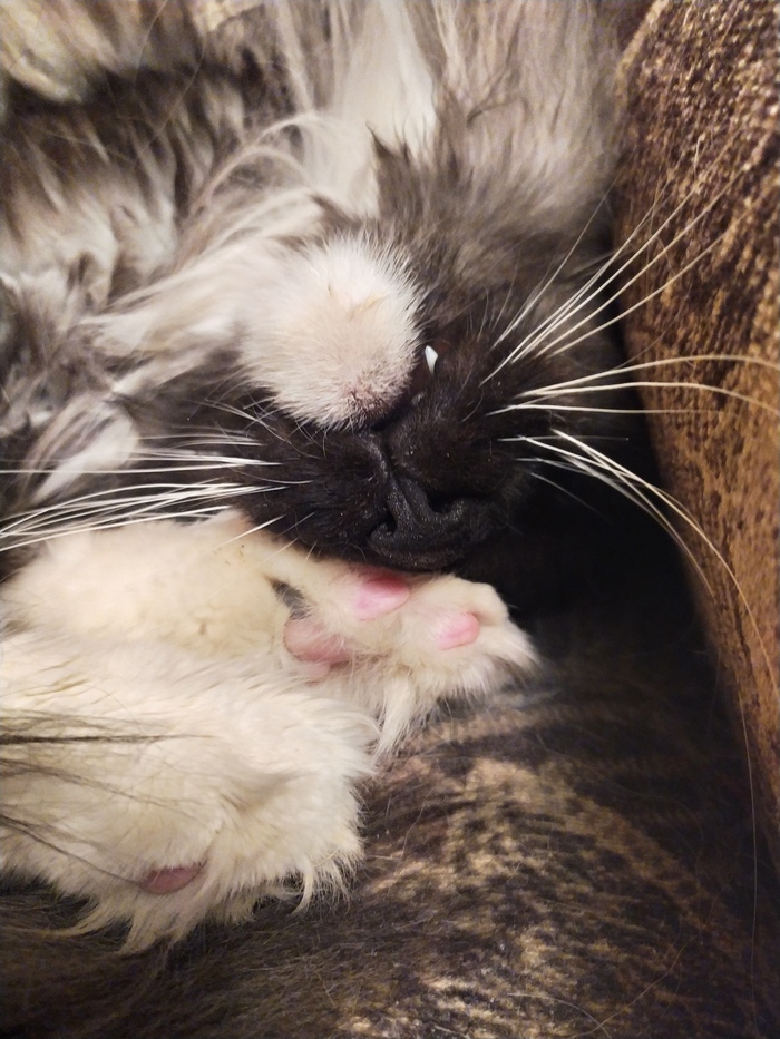       , -, , 
