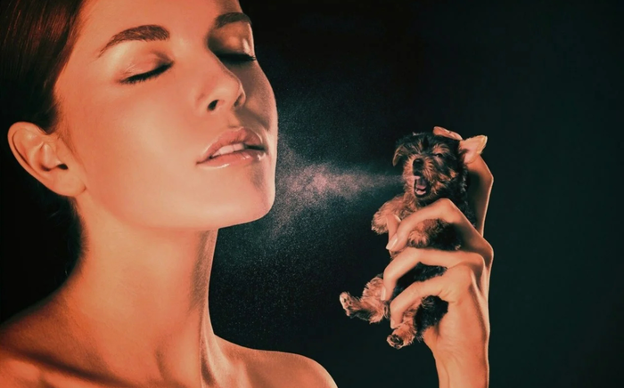 ������� - ��������� �������