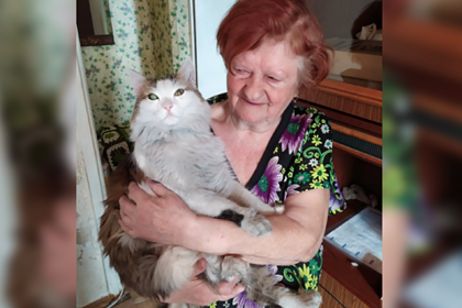 The cat bit the sleeping owner on the neck and saved her from death - cat, Chelyabinsk, Fire, The rescue