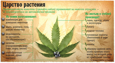 Как сделать пласт из конопли одежда из конопли минск