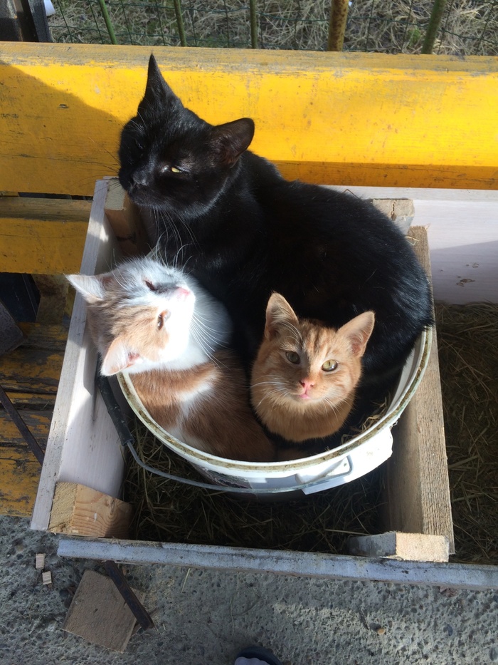 ������ ����� �����. ������, ���� � �����