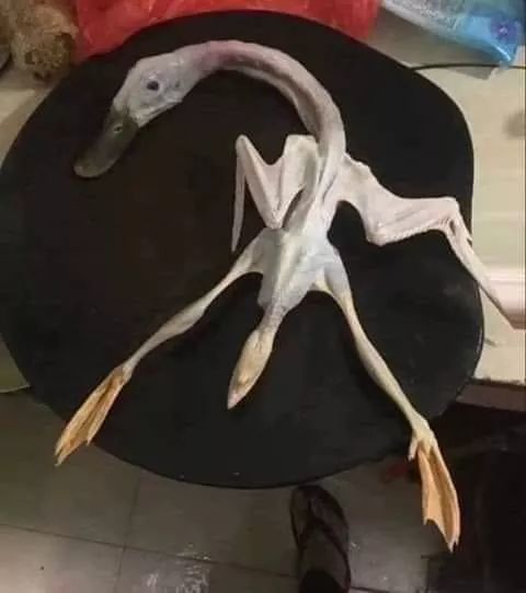   ,   , 