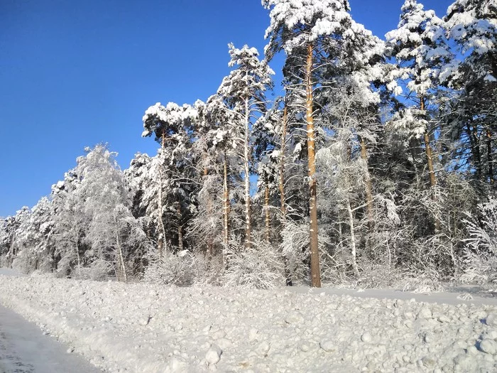 Siberian winter - My, Siberia, Winter, Snow, Forest