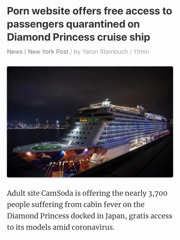 Это очень нужная помощь... - Порно, Вирус, Коронавирус, Ирония, Скриншот, Diamond Princess, Япония, Карантин