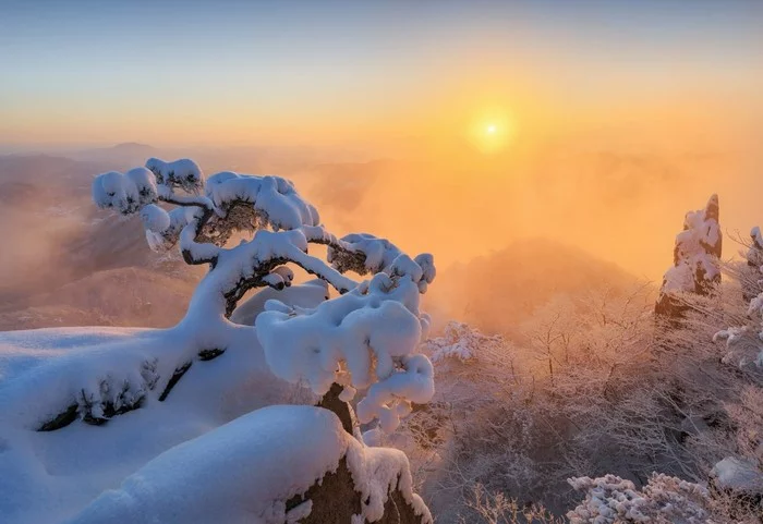 Mount Dedongsan, South Korea - Nature, The mountains, Snow, The photo